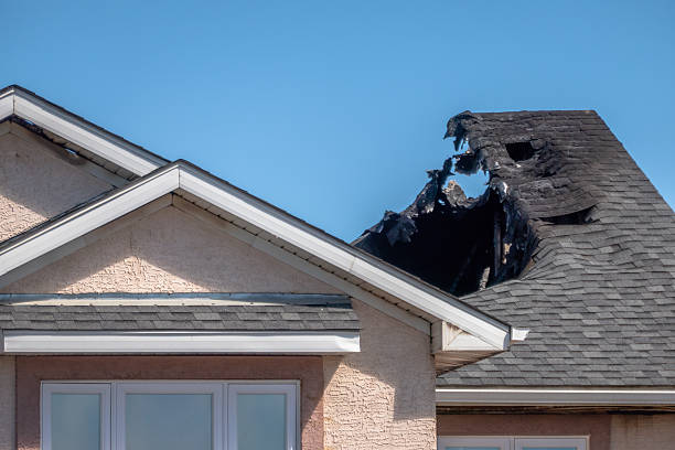 Top rated local Board Up Services specialists in Columbia, KY